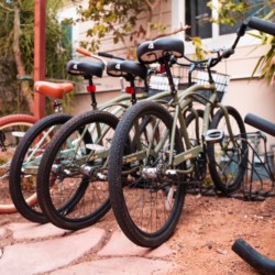 beach-cruiser-bikes-at-california-dreams-hostel-ocean-beach